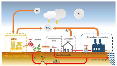 Features and Applications of Urine Stabilization Methods: A Review